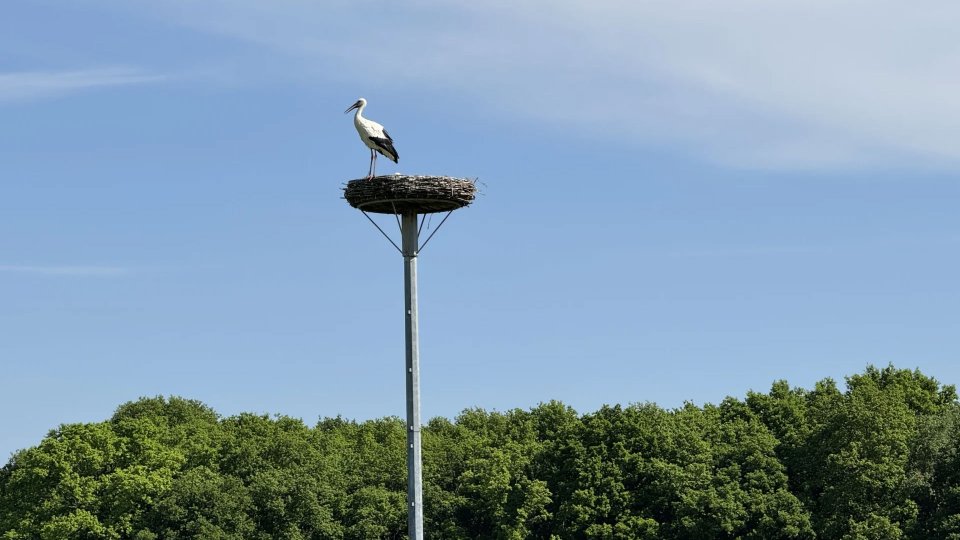 fcv_nieuws_q2_2025.jpg